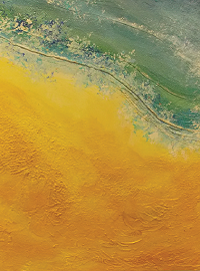 Painting of a beach.