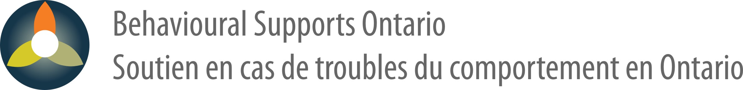Behavioural Supports Ontario/Soutien en cas de troubles du comportement en Ontario